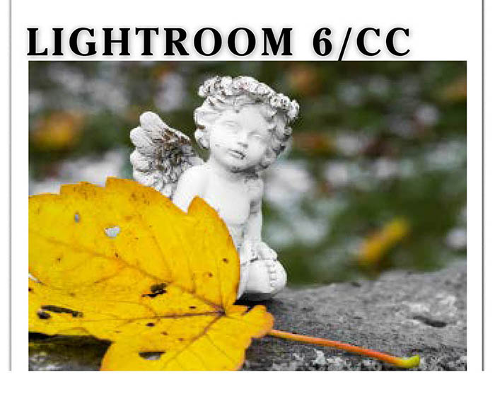 Lightroom6-cover-twitter